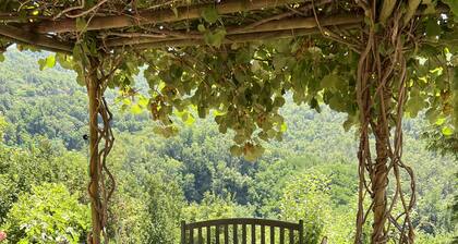 Casa Boru - a beautiful fully restored spacious house with fantastic views