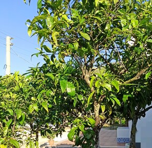 Parco della struttura