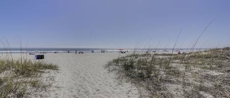 On the beach, sun-loungers