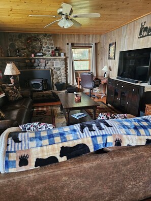 Smart-TV, Kamin