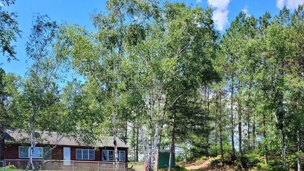 A cabin with a pond, surrounded by trees and a clear sky.