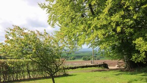 A rural landscape with a stone wall, a grassy field, and trees. - North Lodge (Forfar)