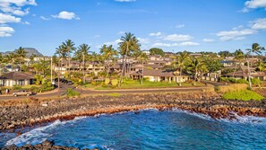 Zona residencial costera con casas, palmeras y un litoral rocoso.