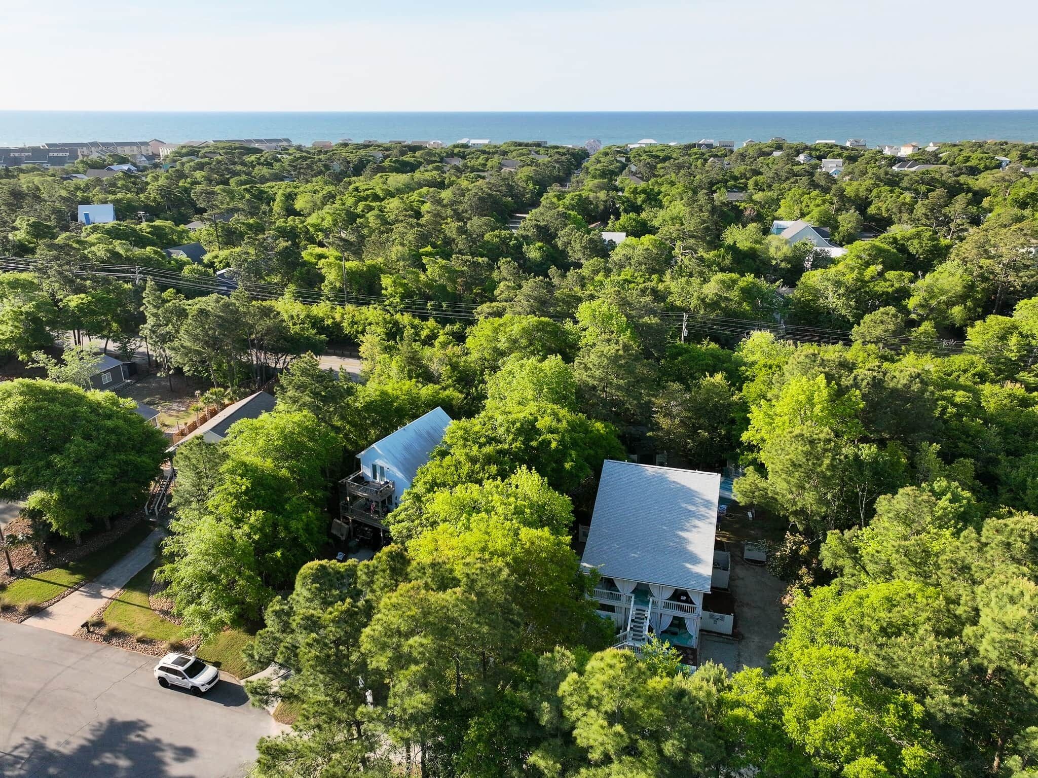 A residential area with houses surrounded by dense greenery, a clear view of the ocean, and a paved road with a parked car.
