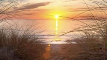 Sun loungers, beach towels