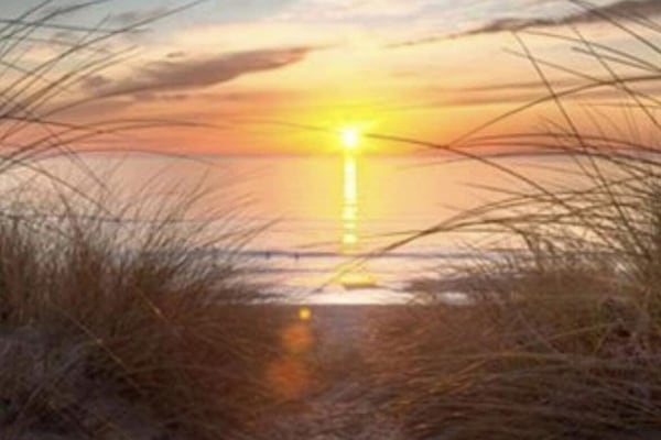 Sun loungers, beach towels