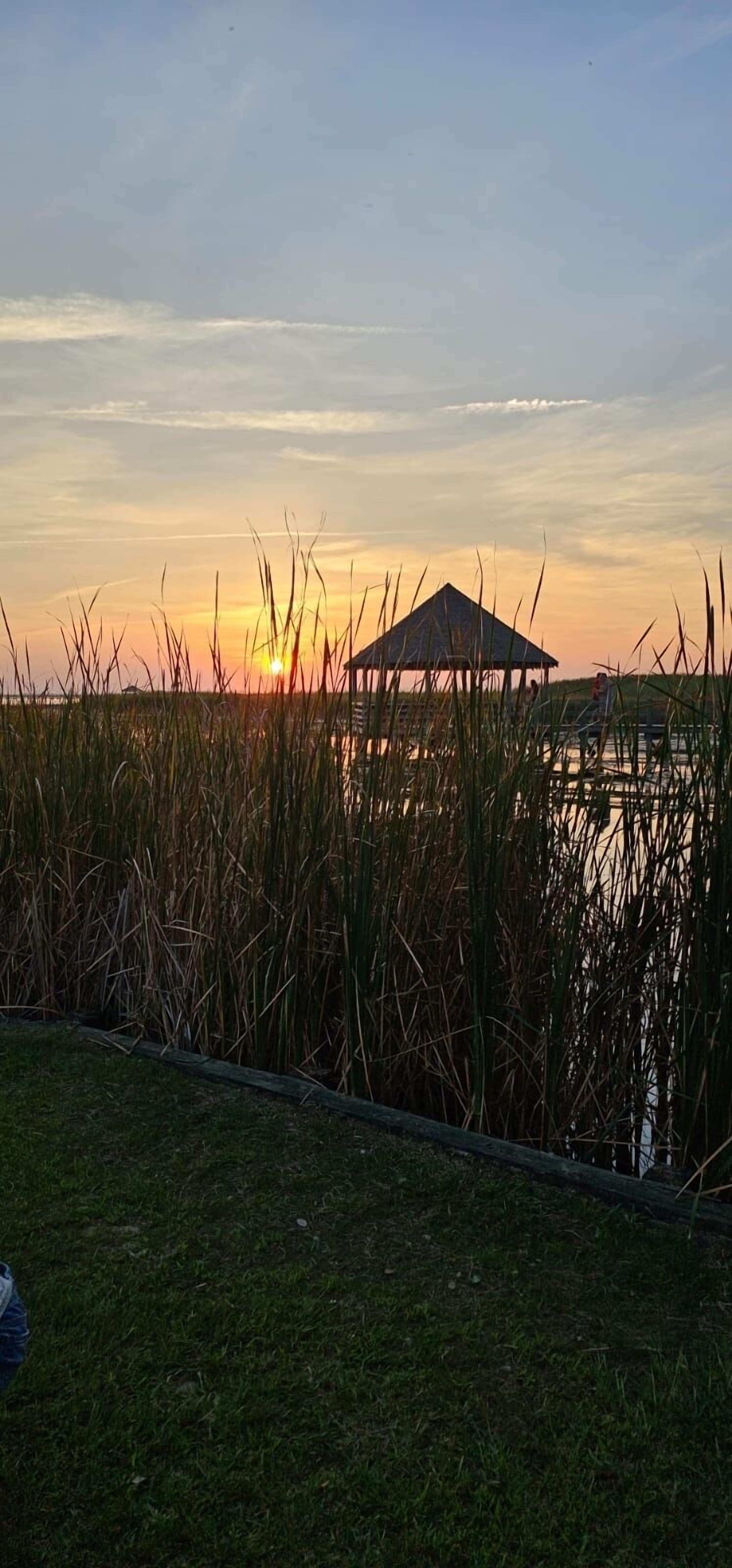 Een tuinhuisje met uitzicht op de ondergaande zon boven het water, omringd door hoge grassen.