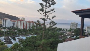 Un quartier résidentiel situé sur la côte, avec des immeubles à plusieurs étages, un grand pin remarquable et une vue sur la mer.