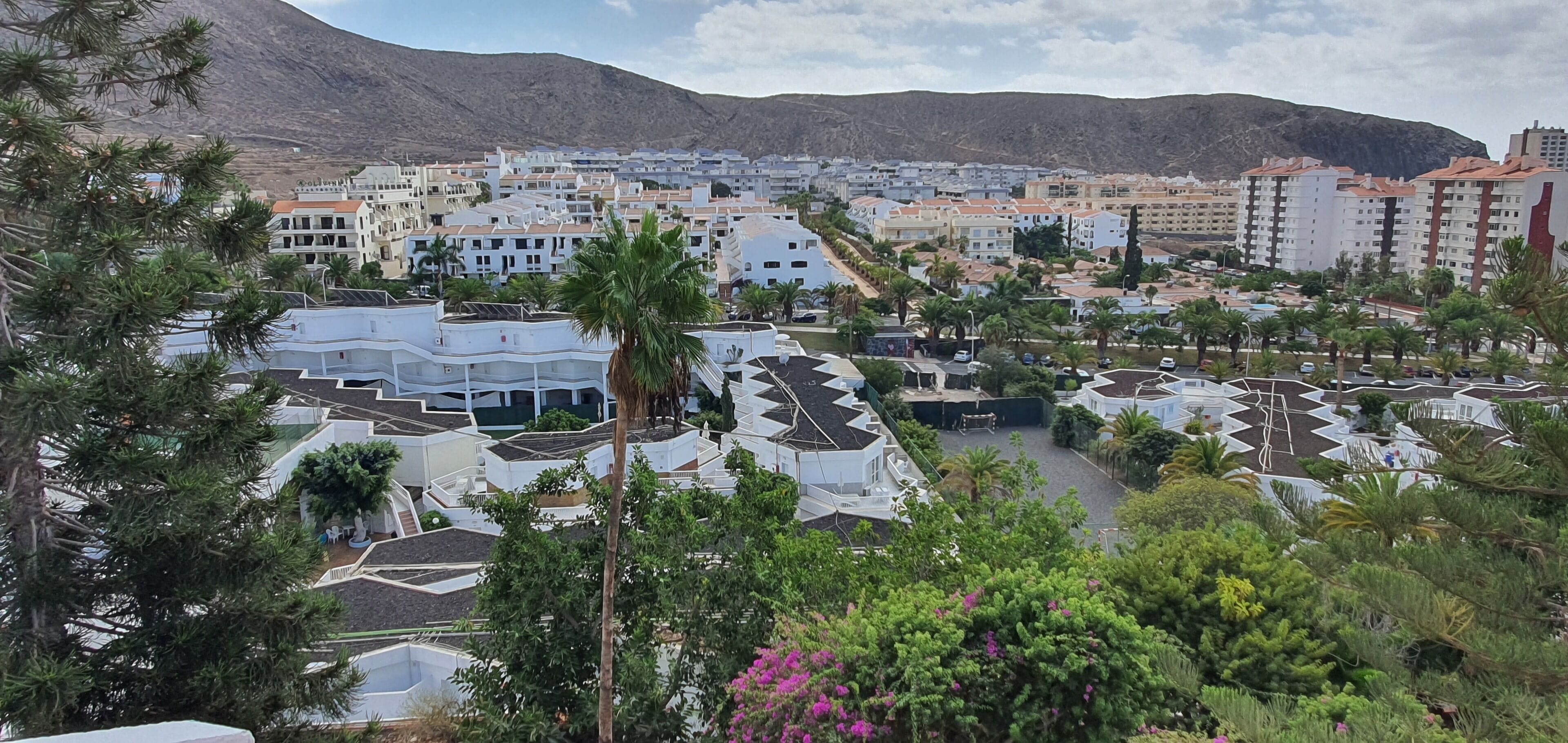 A residential area with white buildings, palm trees, and a mountainous backdrop.
