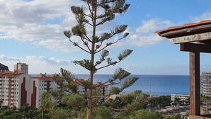 Une vue sur la côte, avec un pin au premier plan, une pergola en bois et des bâtiments en arrière-plan.