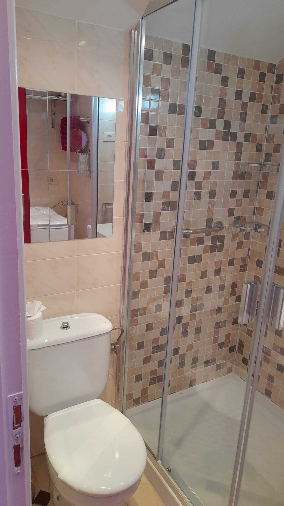 Une salle de bain avec une douche à parois de verre, des toilettes blanches et un mur de douche recouvert de carrelage.