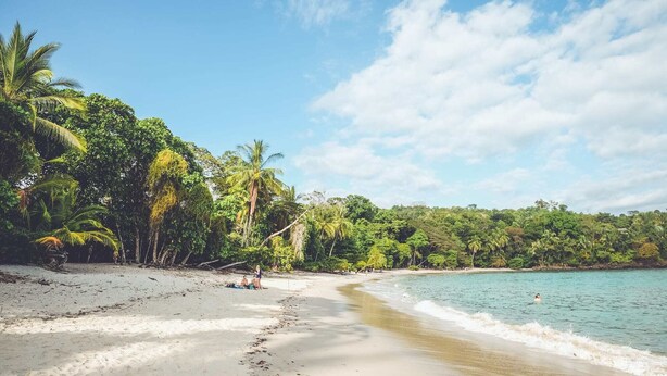 A beach with clear turquoise water, sandy shore, and lush green vegetation. - VAL HOTEL MANUEL ANTONIO (Quepos)
