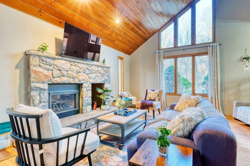 Télévision, cheminée, jeux vidéo, livres