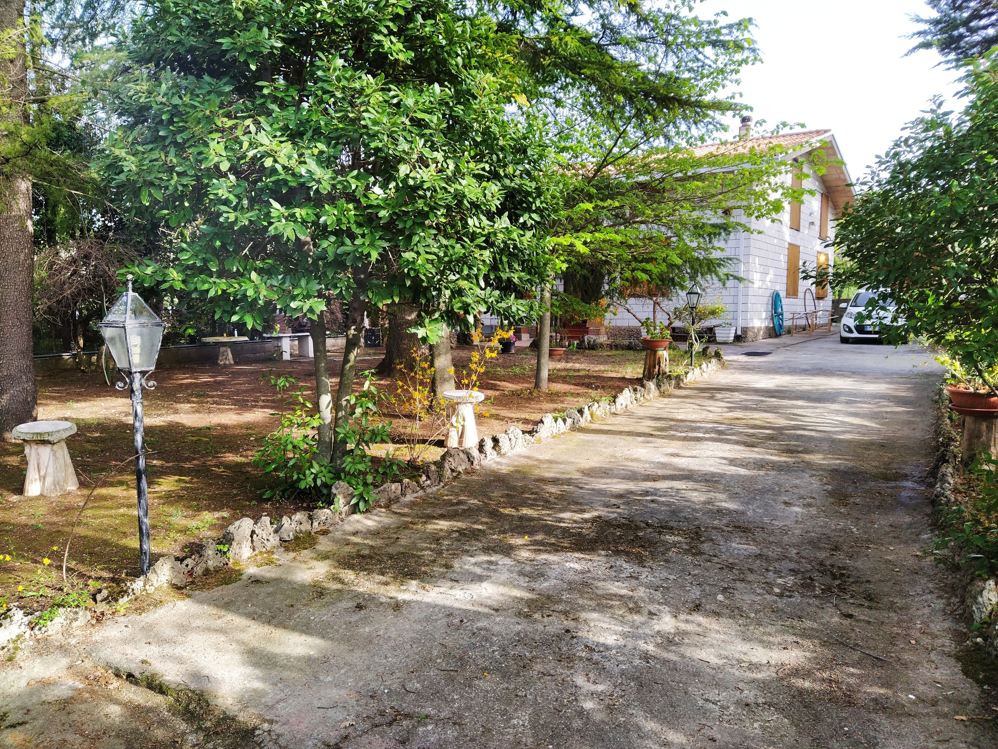 A paved pathway flanked by trees and potted plants, leading to a building with a tiled roof.