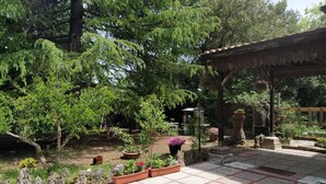 Ein Garten mit einer Pergola, Blumentöpfen und einem gepflasterten Weg.