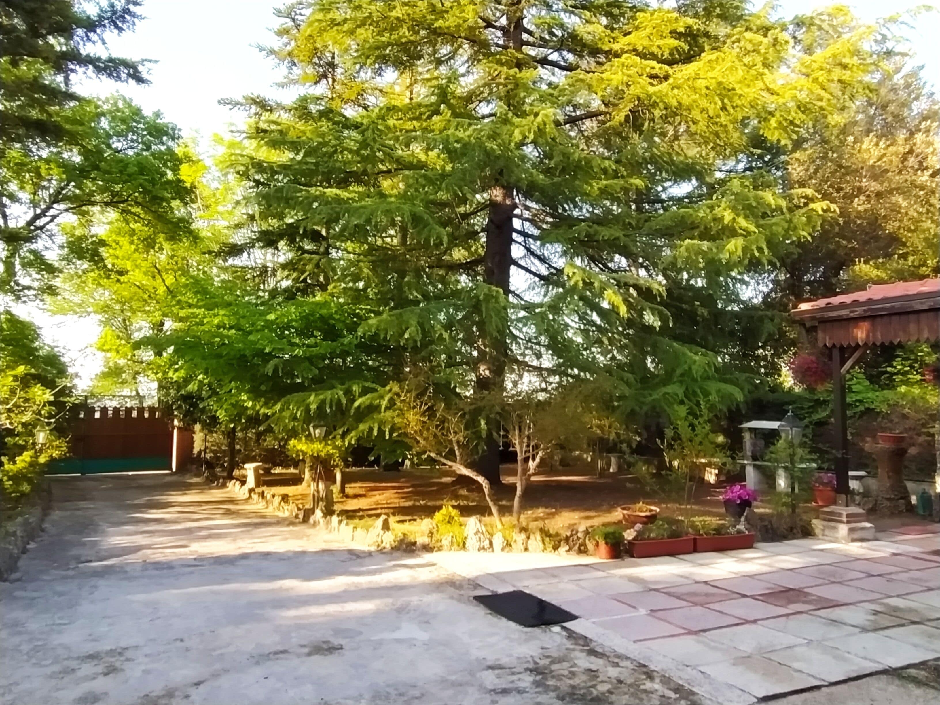 Parco della struttura