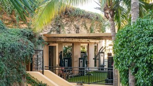 Un gimnasio con equipo de ejercicio, una escalera y un pequeño jardín con plantas y una palmera.
