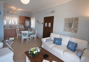 Smart TV, fireplace, DVD player, books