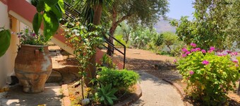 Cretan Rural Living in Olive Grove Cottage