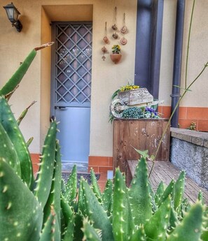 A wooden door with a metal grille, a wall-mounted planter with flowers, and a rustic wooden bench.