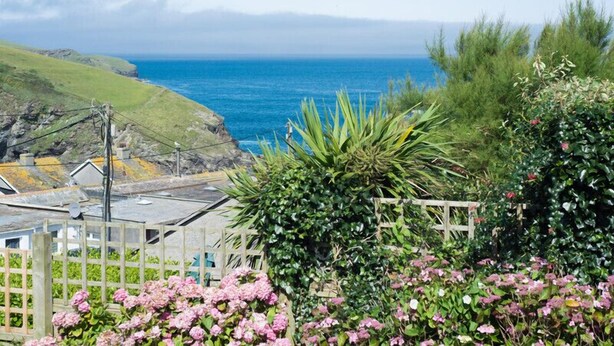 A coastal view with a wooden fence, pink flowers, and a clear blue sky. - Albany (Port Isaac)