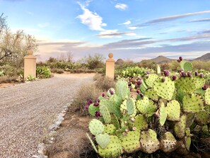Een woestijnlandschap met een grindpad dat naar een poort leidt, omringd door cactussen en schaarse begroeiing.