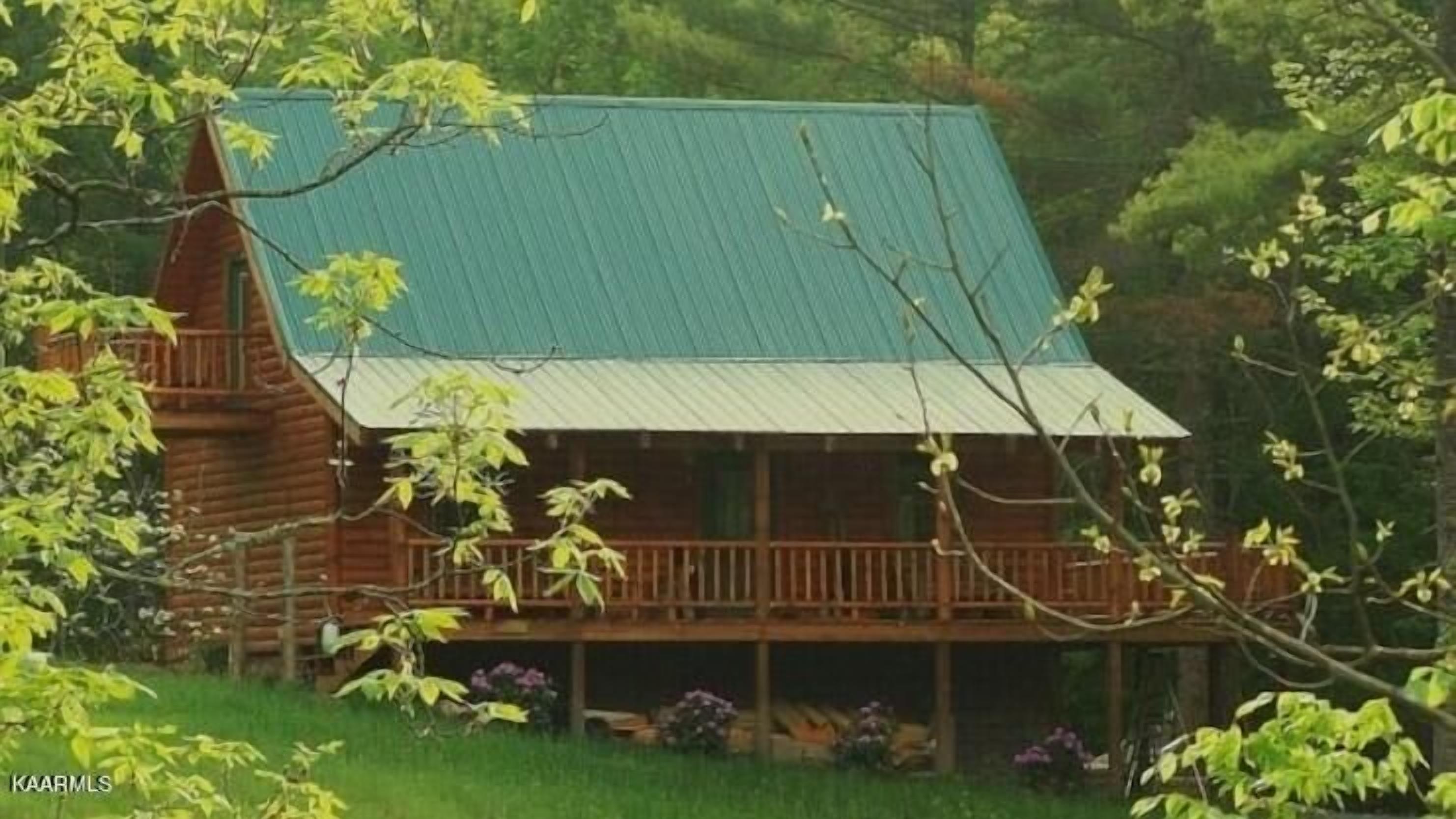 Whistling Timbers Cabin, <1 mile from S. Holston River/Dam, pet-friendly