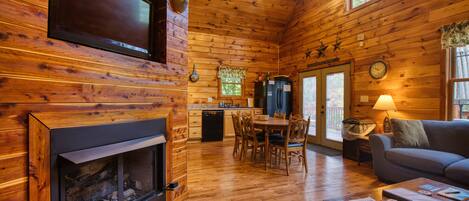 TV, fireplace, books