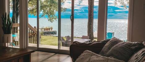 TV connectée, cheminée, lecteur de DVD, livres