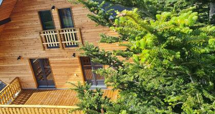 Grand Chalet 4* Balnéo Zen Altitud avec Sauna au coeur de la station