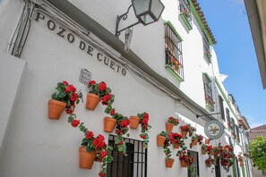 Une façade d’immeuble avec l’enseigne « POZO DE CUETO » et de nombreux pots en terre cuite ornés de fleurs rouges.