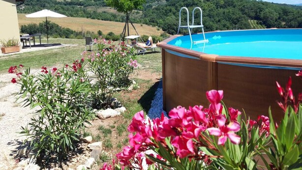 Una piscina exterior con escalera, rodeada de vegetación y flores, y con vistas a colinas al fondo.