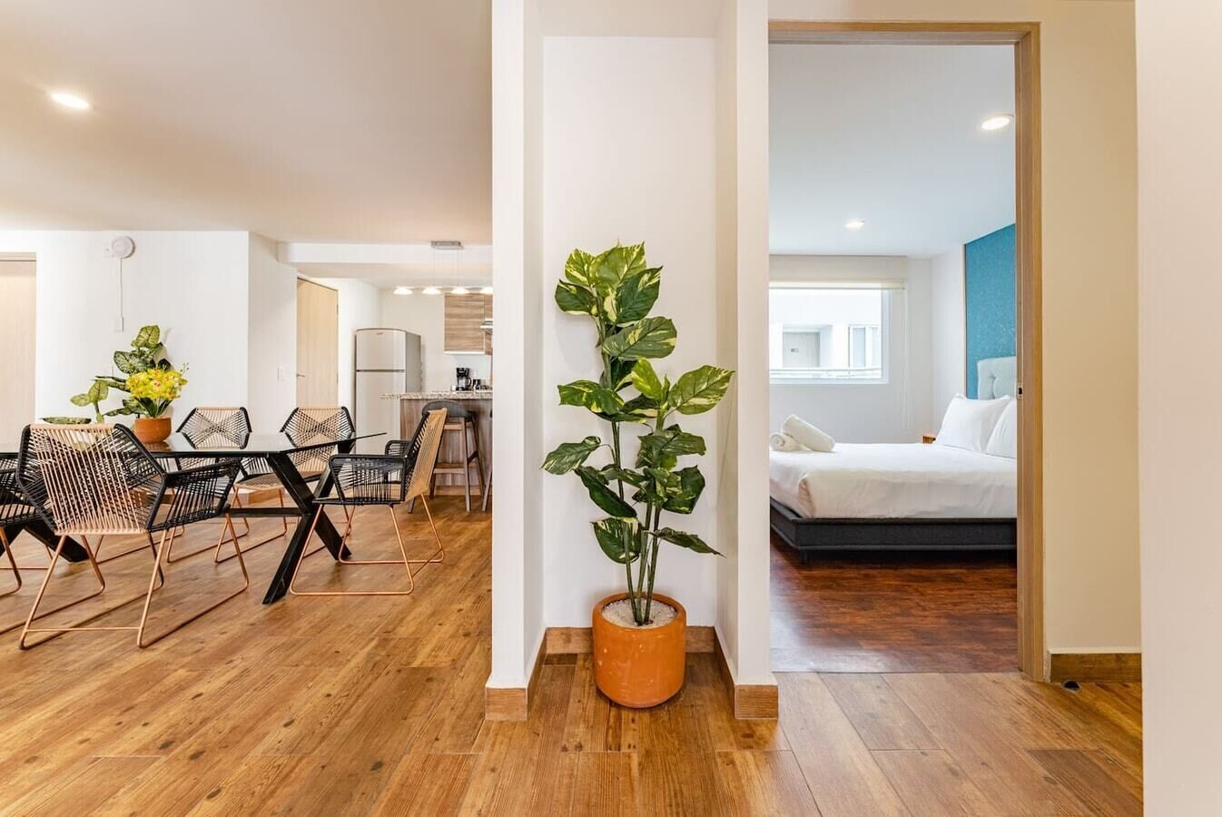 アイロン / アイロン台、WiFi、ベッドシーツ