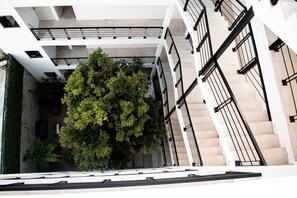 Interior - VH | DEPA 2 Rooms 9 min from the beach | 151 (Playa del Carmen)