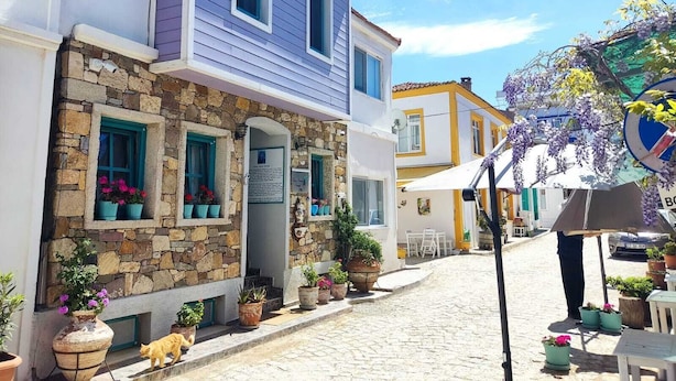A narrow cobblestone street lined with buildings featuring stone and painted facades, outdoor seating, and potted plants. - Seher Hanim Konagi (Bozcaada)
