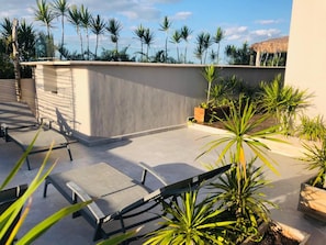 A rooftop terrace with lounge chairs, potted plants, and a view of palm trees.