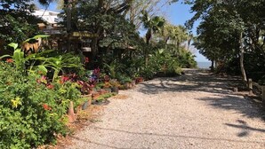 A gravel pathway leading to a building surrounded by lush greenery and palm trees.
