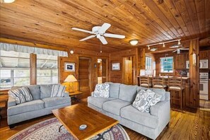 Smart TV, chimenea y reproductor de DVD 