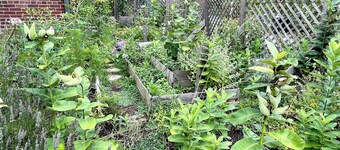 Garden Apartment Retreat
