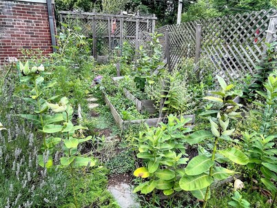 Garden Apartment Retreat