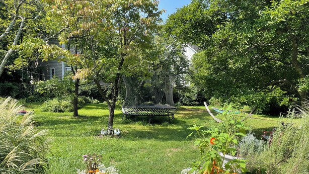A garden with a wooden bench, a swing, and a variety of plants and flowers.
