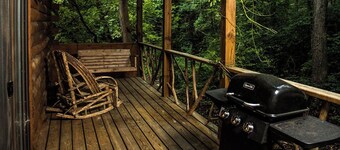 Bear Hollow near the Buffalo River 