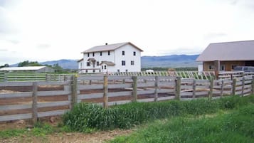 Situated in a serene rural landscape, this charming house features a spacious balcony and a fenced area.