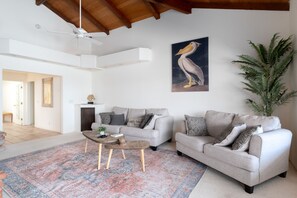 Smart TV, fireplace, books