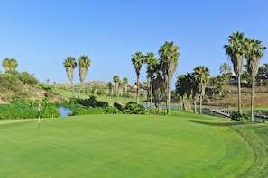 A golf course with a water body, palm trees, and a bridge.