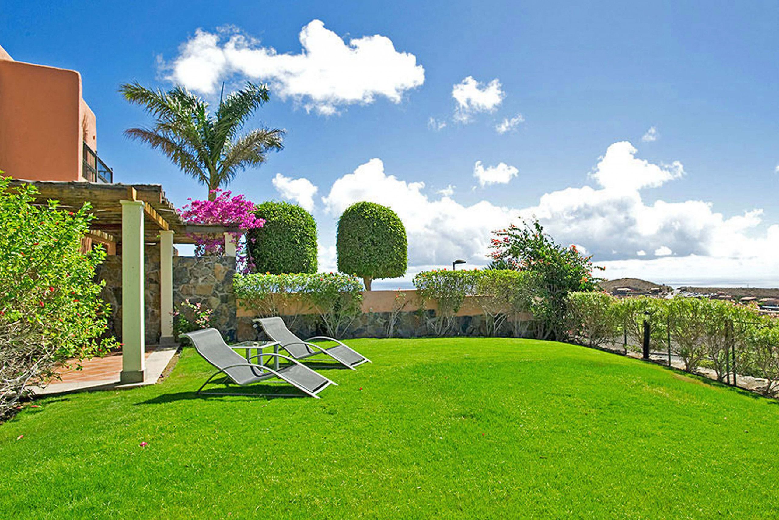 A well-maintained lawn with two lounge chairs, a stone wall, and a palm tree.