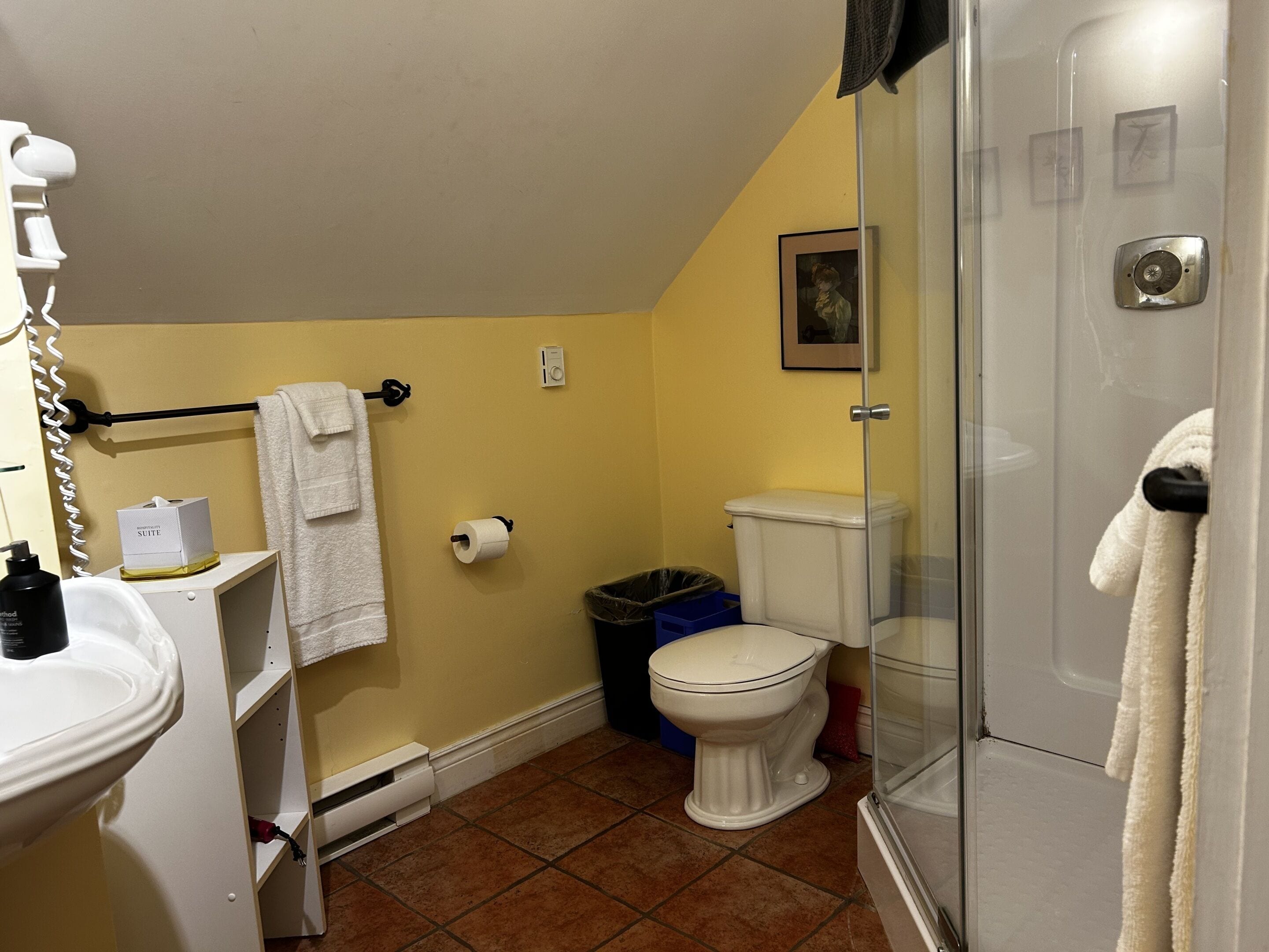 Une salle de bain avec des toilettes, un lavabo et une douche.