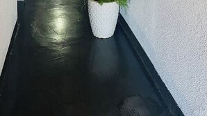 A hallway with a potted plant, doors, and a ceiling light.