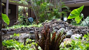 A garden with a small pond, rocks, and various tropical plants. - Oceanfront Hale Hui Kai 313 Large Lanai, AC, Incredible Views on Keawakapu Beach (Kihei)