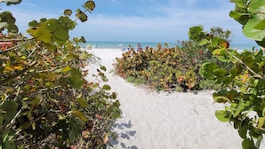 Ein sandiger Küstenpfad, gesäumt von dichter Vegetation, der zum Meer führt.